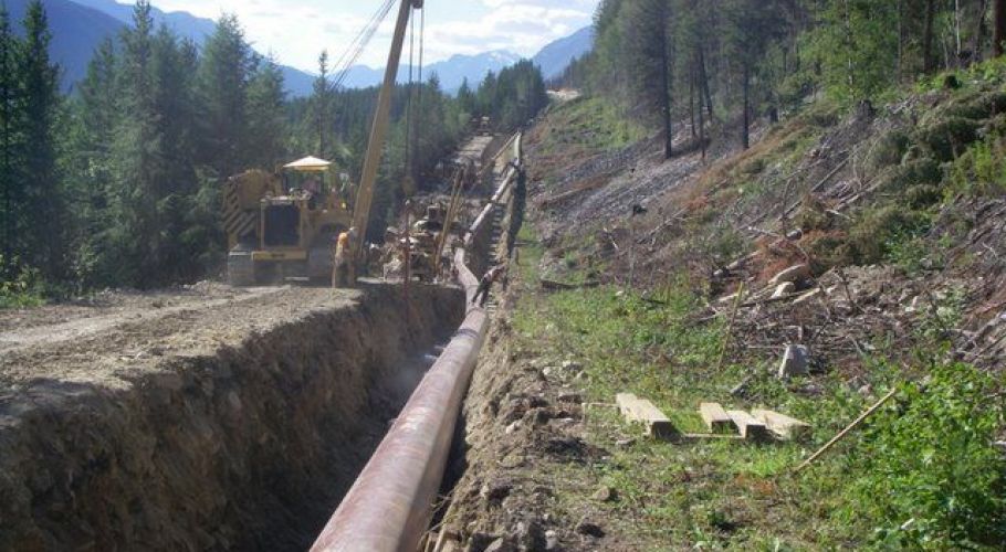 88860099-d45f-4c1f-9024-4e47460d83b9